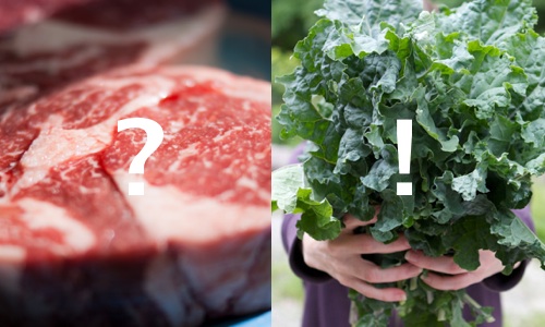 proteinbild proteinbild